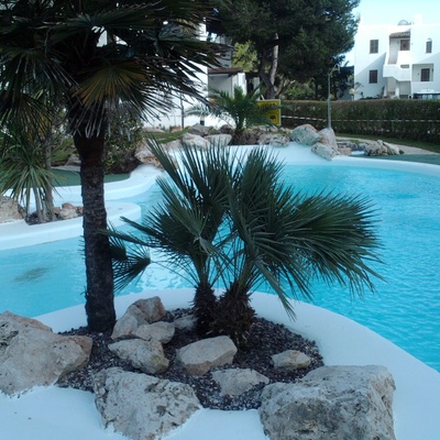 Piscina y Paisajismo.