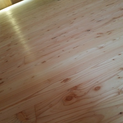 Pista de baile Alerce