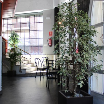 Plano de resultado diseño en entrada