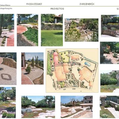 DISEÑO Y EJECUCIÓN DE JARDIN PRIVADO EN MALLORCA
