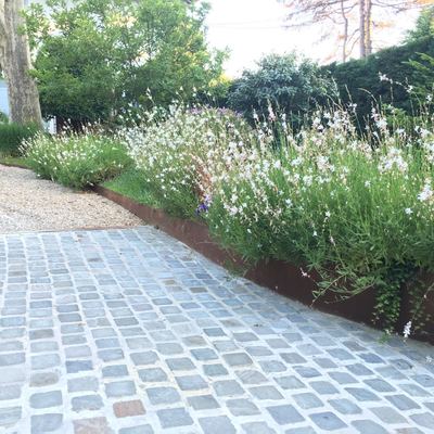 Plantación rampa parking