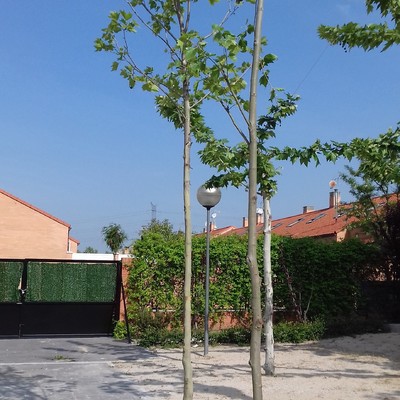 piscina tepes comunidad