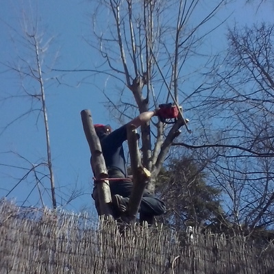 Podar i netetjar en Barcelona