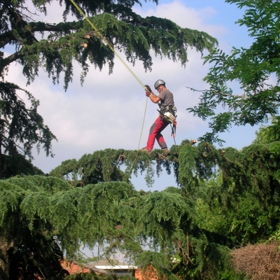 PODAS DIPUTACION DE BARCELONA