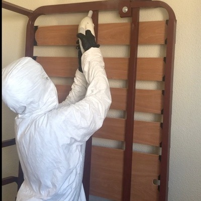 Tratamiento chinches