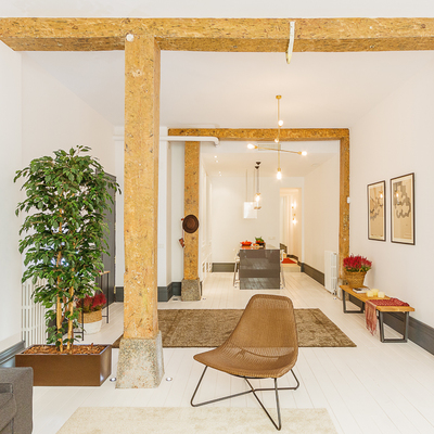 Proyecto Cabeza "después"