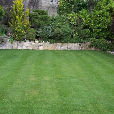 Proyecto de nuevo Jardín en Torrelodones