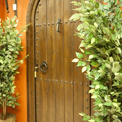 Puerta de madera de medio punto