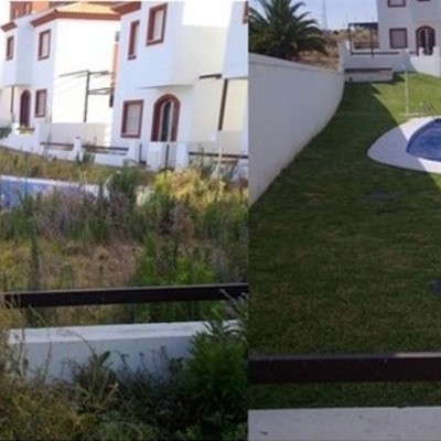 Puesta a punto de zona verde piscina