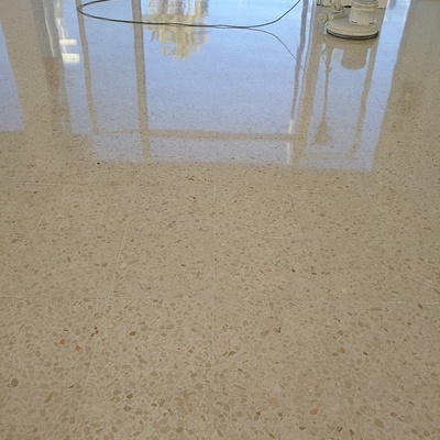 Pulido con diamante y cristalizado de Local en Marbella