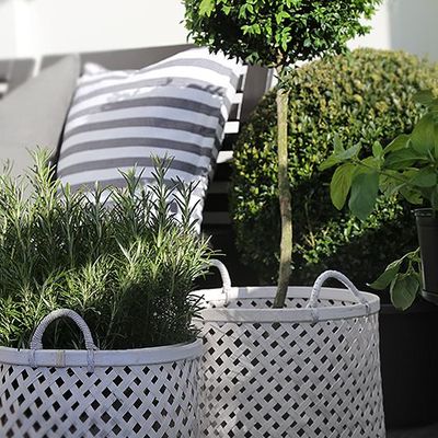 ¡Que no falte el toque verde!