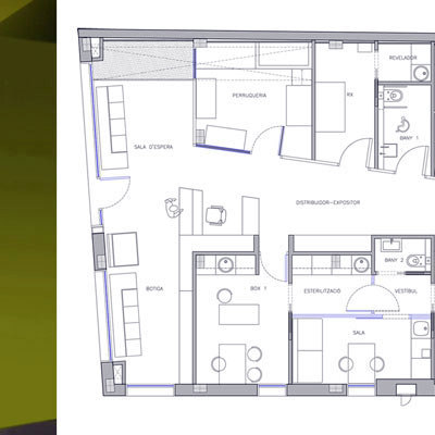 raddi ARQUITECTES, Clínica Veterinaria en planta baja. Planta.