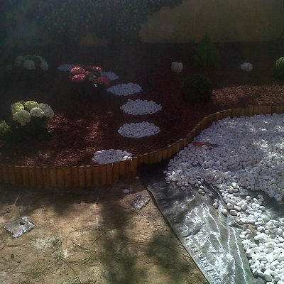 REALIZACION DE PALTERRE 