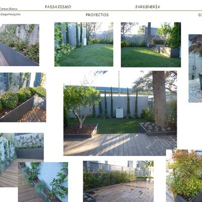 DISEÑO Y EJECUCIÓN DE JARDIN PRIVADO EN MADRID