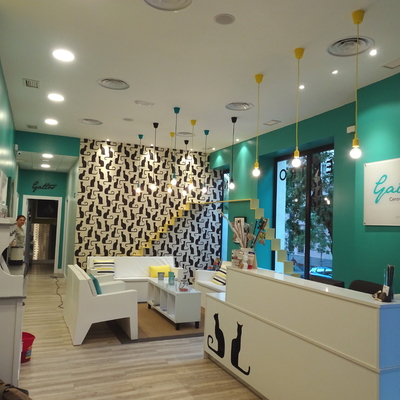 Clinica veterinaria