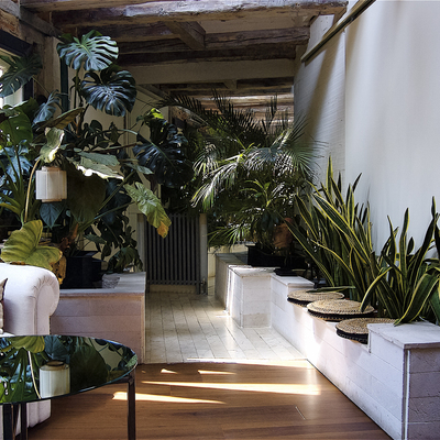 Recibidor con plantas