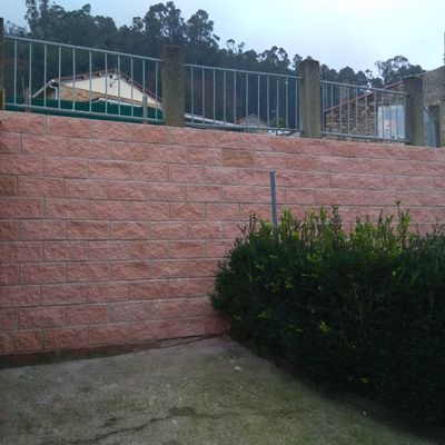 Reconstrucción de muro