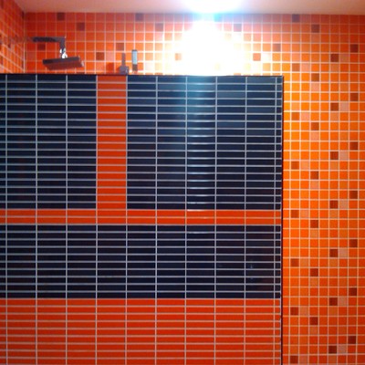 REFORMA BAÑO CORTINA DE CERVANTES