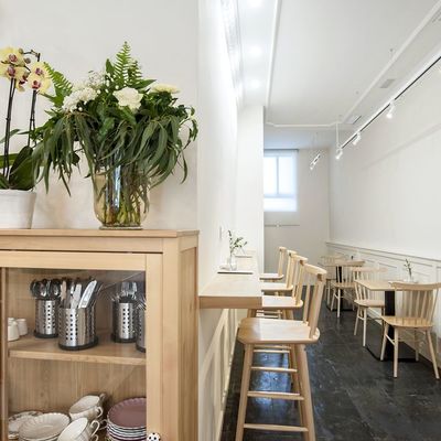 REFORMA COMERCIAL - BAKERY MAGNOLIAS EN A CORUÑA