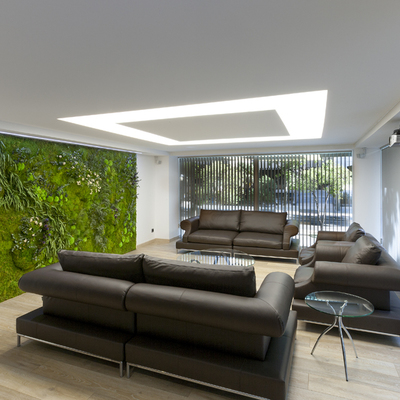 Reforma de oficinas - Telas tensadas - Iluminación personalizada