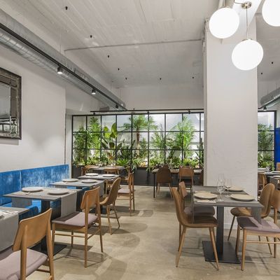 REFORMA DE RESTAURANTE ORGANIC - A CORUÑA