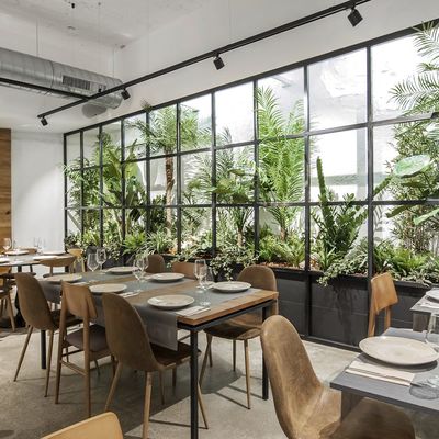 REFORMA DE RESTAURANTE ORGANIC - A CORUÑA