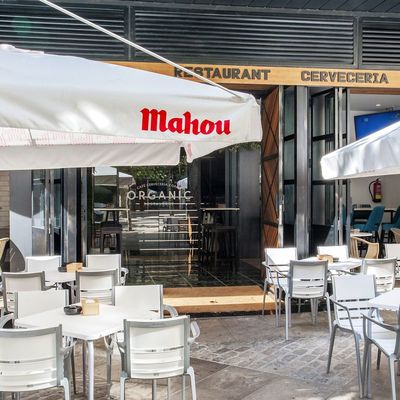 REFORMA DE RESTAURANTE ORGANIC - A CORUÑA