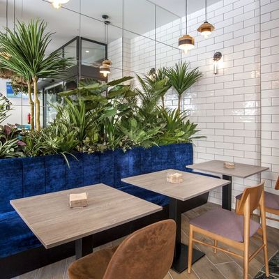 REFORMA DE RESTAURANTE ORGANIC - A CORUÑA