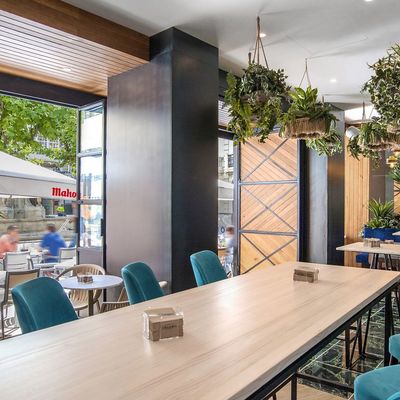 REFORMA DE RESTAURANTE ORGANIC - A CORUÑA