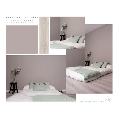 reforma integral_guadalajara_zona centro