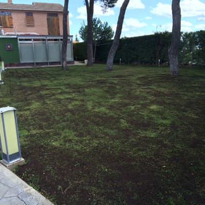Regenerado de césped en Valladolid