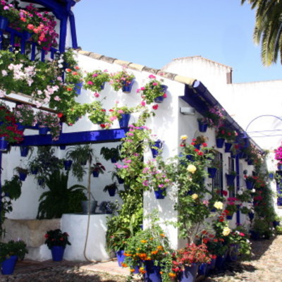 Rehabilitación de Casa Patio (I)