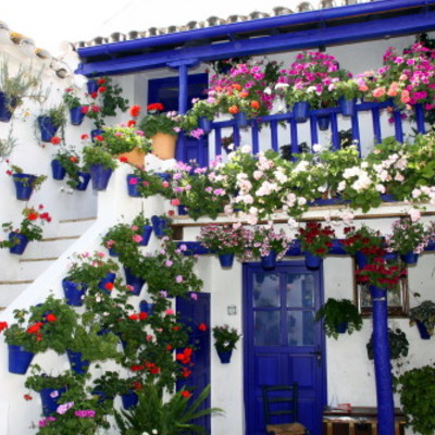 Rehabilitación de Casa Patio (III)