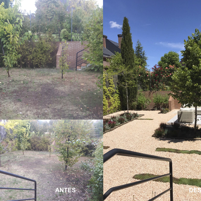 Pequeño jardín unifamiliar