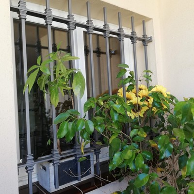 Trabajos varios de instalación y montaje de rejas y trabajos de carpintería metálica.