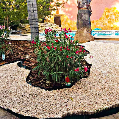 Renovación de jardín