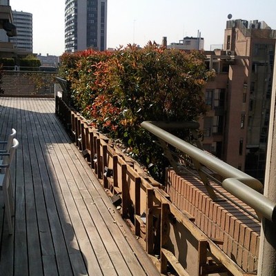 RESTAURACIÓN TARIMA EXTERIOR IPE