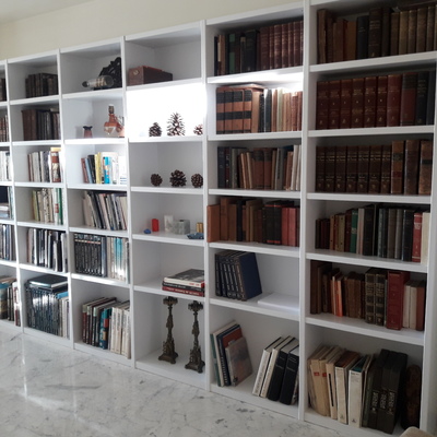 Pintura de librería