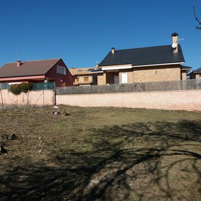 Desbroce de parcela 2