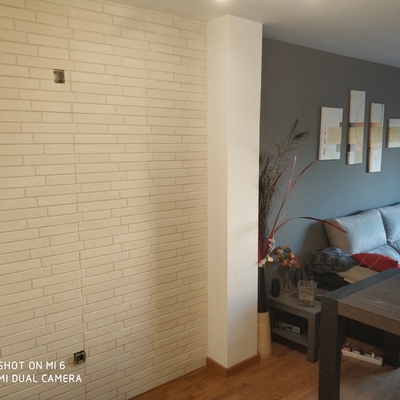 Alicatado Pared Salón.