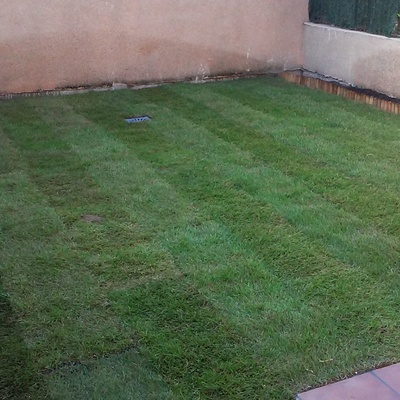 ACONDICIONAMIENTO DE PATIO.