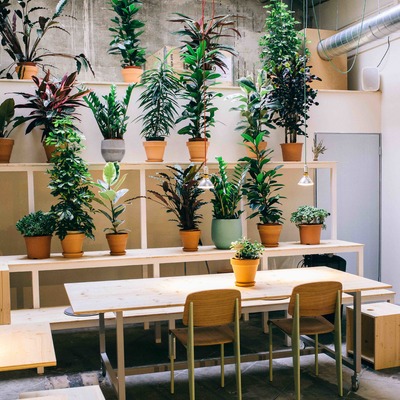 Robot House Barcelona, espacio cultural y creativo