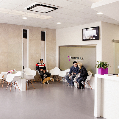 Diseño De Hospital Veterinario