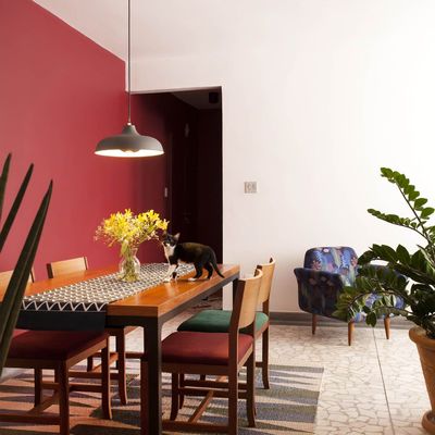 Salón con pared pintada de coral