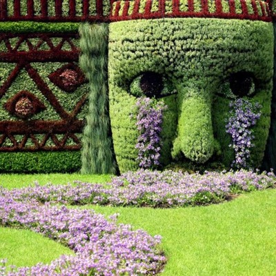 Jardineria Y Mantenimiento Boadilla Del Monte