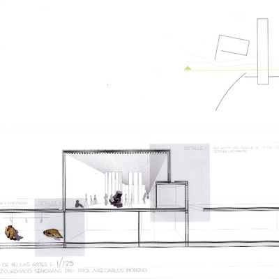 Sección transversal