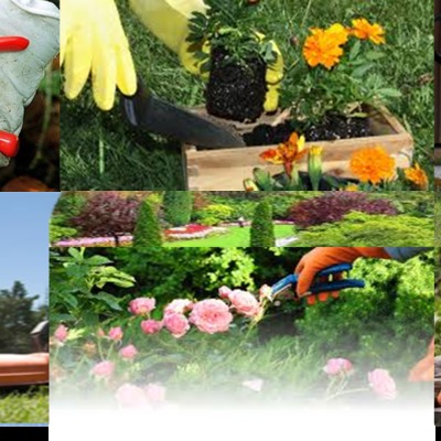 Mantenimiento e instalación de jardines