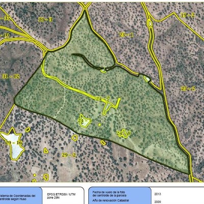 Certificado de uso forestal 