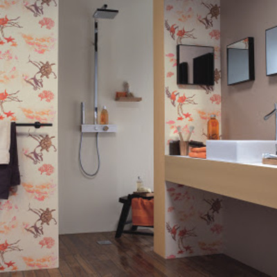 SU BAÑO CANBIE SU BAÑO SIN POLVO SIN RUNAS 