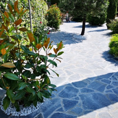 Tomas Guzman Coronado